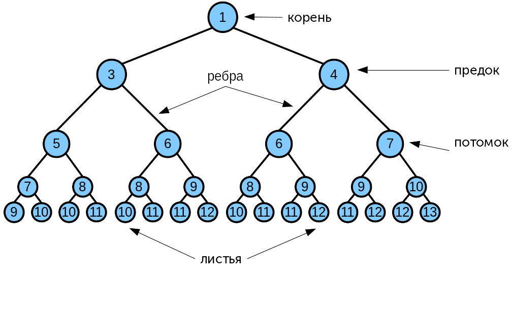 Дерево графа. Графы и деревья в информатике. Два неодинаковых дерева с четырьмя вершинами придумайте